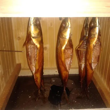 Ośrodek wypoczynkowy Hotel Arkun 3*